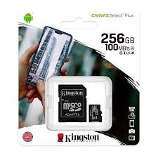 MEMORIA MICRO SD 256GB
